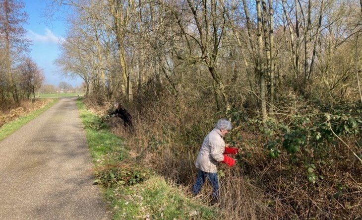 Persoon met snoeischaar bij struiken in berm langs weg