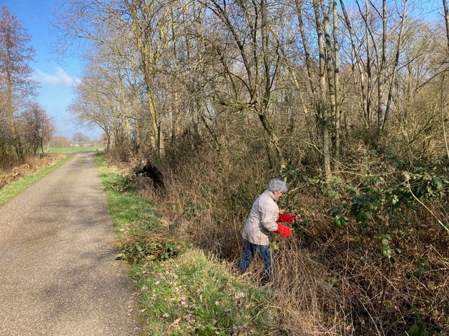 Persoon met snoeischaar bij struiken in berm langs weg